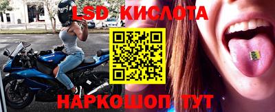 винт Кандалакша