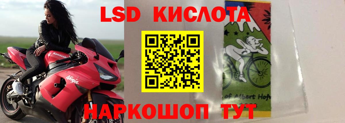 Губкин  ЛСД экстази кислота  Вход с VPN 