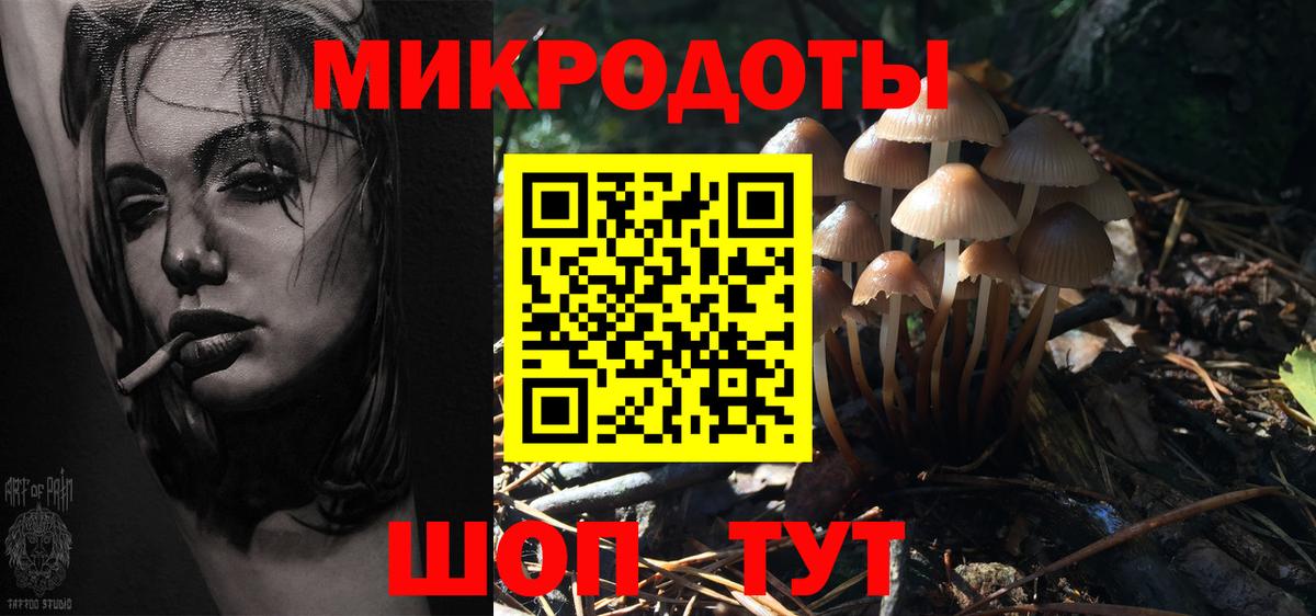 Губкин  Галлюциногенные грибы ЛСД  Вход с VPN 
