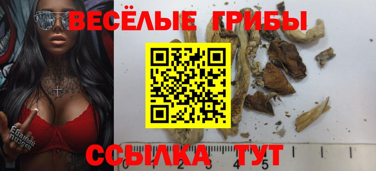Псилоцибиновые грибы ЛСД Губкин